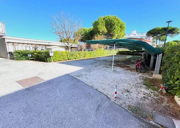 Xibana - * 비비오네